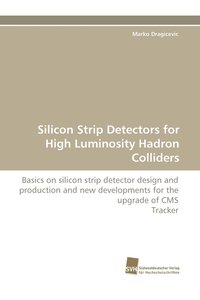 bokomslag Silicon Strip Detectors for High Luminosity Hadron Colliders