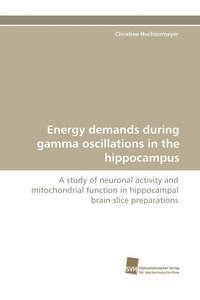 bokomslag Energy demands during gamma oscillations in the hippocampus