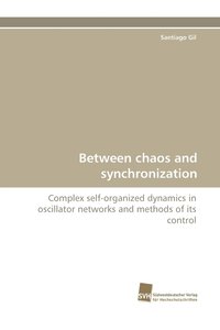 bokomslag Between chaos and synchronization