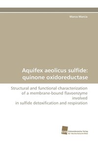 bokomslag Aquifex Aeolicus Sulfide