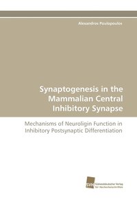 bokomslag Synaptogenesis in the Mammalian Central Inhibitory Synapse