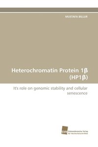 bokomslag Heterochromatin Protein 1 (Hp1 )