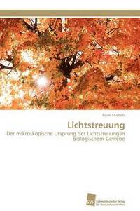 bokomslag Lichtstreuung