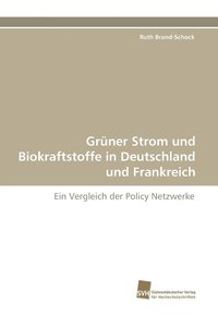 bokomslag Gruner Strom Und Biokraftstoffe in Deutschland Und Frankreich