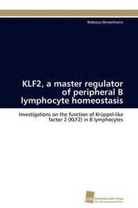 bokomslag KLF2, a master regulator of peripheral B lymphocyte homeostasis