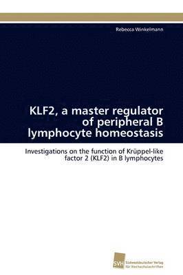 KLF2, a master regulator of peripheral B lymphocyte homeostasis 1