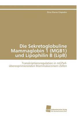 Die Sekretoglobuline Mammaglobin 1 (MGB1) und Lipophilin B (LipB) 1