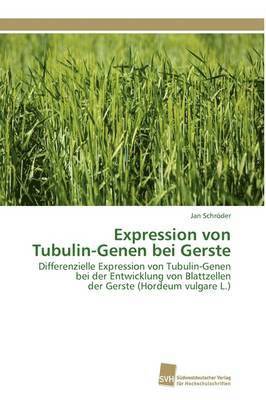 Expression von Tubulin-Genen bei Gerste 1