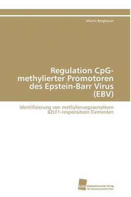 Regulation CpG-methylierter Promotoren des Epstein-Barr Virus (EBV) 1