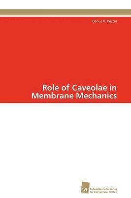 Role of Caveolae in Membrane Mechanics 1