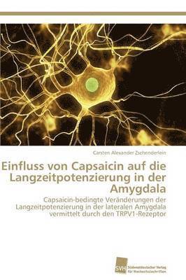 Einfluss von Capsaicin auf die Langzeitpotenzierung in der Amygdala 1
