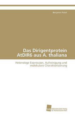 Das Dirigentprotein AtDIR6 aus A. thaliana 1