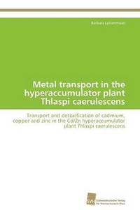 bokomslag Metal transport in the hyperaccumulator plant Thlaspi caerulescens
