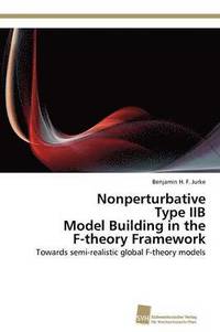 bokomslag Nonperturbative Type IIB Model Building in the F-theory Framework