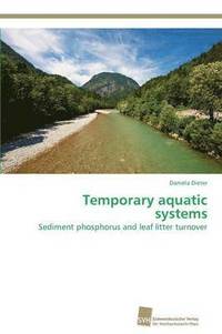 bokomslag Temporary aquatic systems