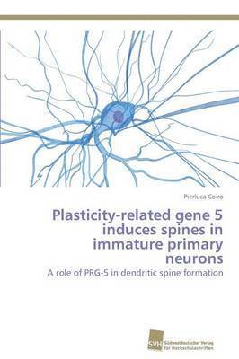 Plasticity-related gene 5 induces spines in immature primary neurons 1
