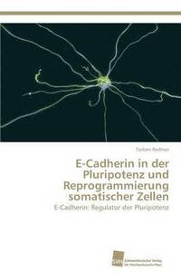 bokomslag E-Cadherin in der Pluripotenz und Reprogrammierung somatischer Zellen