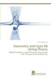 bokomslag Geometry and type IIB string theory