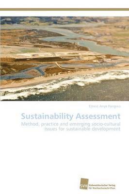 bokomslag Sustainability Assessment