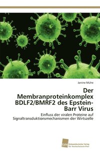 bokomslag Der Membranproteinkomplex BDLF2/BMRF2 des Epstein-Barr Virus