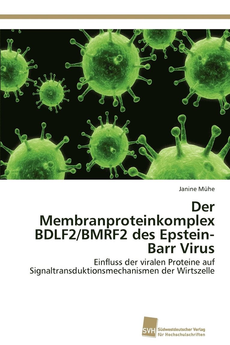 Der Membranproteinkomplex BDLF2/BMRF2 des Epstein-Barr Virus 1
