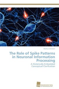 bokomslag The Role of Spike Patterns in Neuronal Information Processing