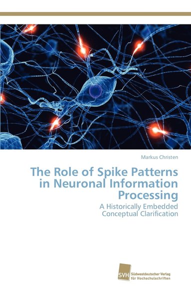 bokomslag The Role of Spike Patterns in Neuronal Information Processing