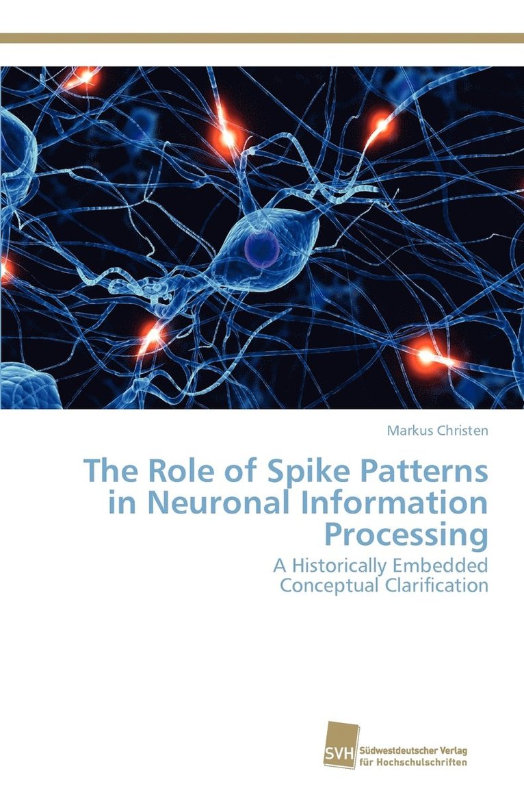The Role of Spike Patterns in Neuronal Information Processing 1