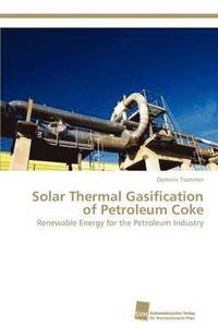bokomslag Solar Thermal Gasification of Petroleum Coke