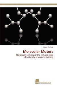 bokomslag Molecular Motors