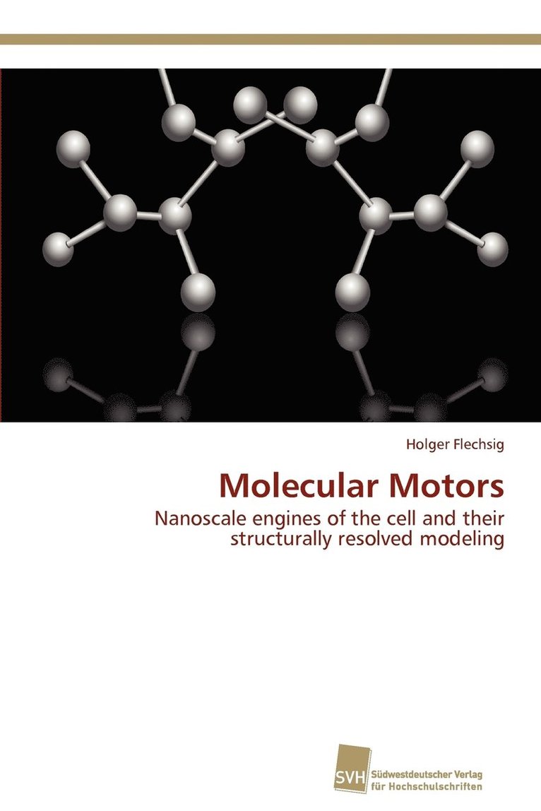 Molecular Motors 1