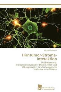 bokomslag Hirntumor-Stroma-Interaktion