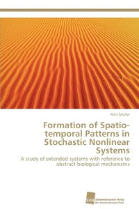 bokomslag Formation of Spatio-Temporal Patterns in Stochastic Nonlinear Systems