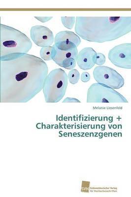 Identifizierung + Charakterisierung von Seneszenzgenen 1