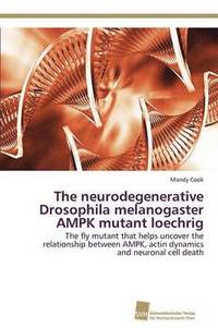 bokomslag The neurodegenerative Drosophila melanogaster AMPK mutant loechrig