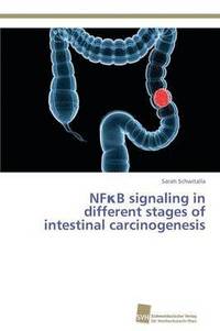 bokomslag NF&#954;B signaling in different stages of intestinal carcinogenesis