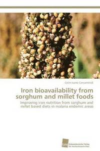bokomslag Iron bioavailability from sorghum and millet foods