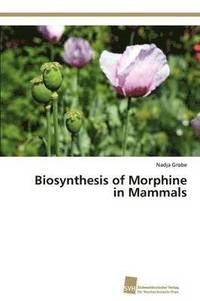 bokomslag Biosynthesis of Morphine in Mammals