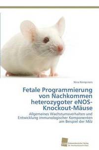 bokomslag Fetale Programmierung von Nachkommen heterozygoter eNOS-Knockout-Muse