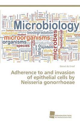 Adherence to and invasion of epithelial cells by Neisseria gonorrhoeae 1