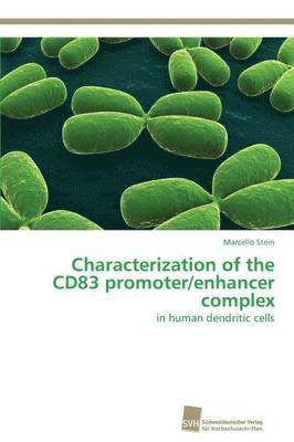 Characterization of the CD83 promoter/enhancer complex 1