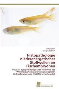 bokomslag Histopathologie niederenergetischer Stowellen an Fischembryonen