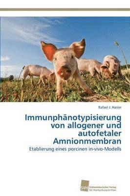 Immunphnotypisierung von allogener und autofetaler Amnionmembran 1