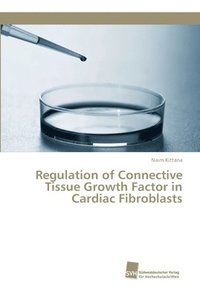 bokomslag Regulation of Connective Tissue Growth Factor in Cardiac Fibroblasts
