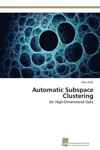 bokomslag Automatic Subspace Clustering