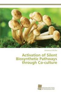 bokomslag Activation of Silent Biosynthetic Pathways through Co-culture