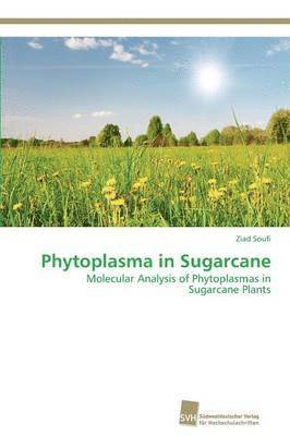 Phytoplasma in Sugarcane 1