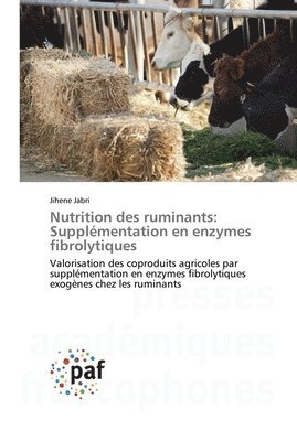 bokomslag Nutrition des ruminants