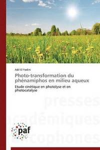 bokomslag Photo-Transformation Du Phenamiphos En Milieu Aqueux