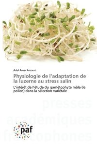 bokomslag Physiologie de l'adaptation de la luzerne au stress salin